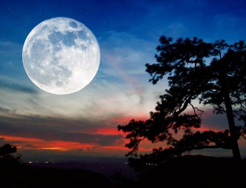 Luna, le mille facce dell’astro più amato