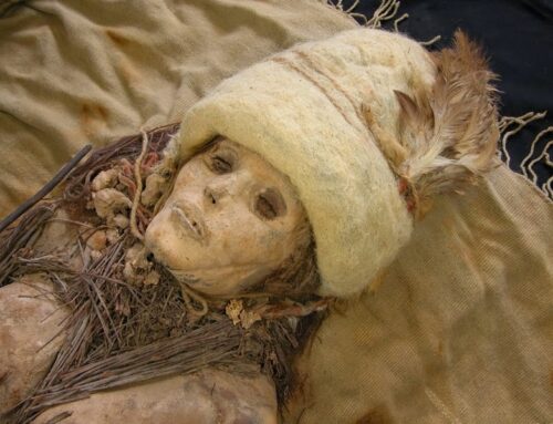 Incantevoli mummie nel bacino del Tarim