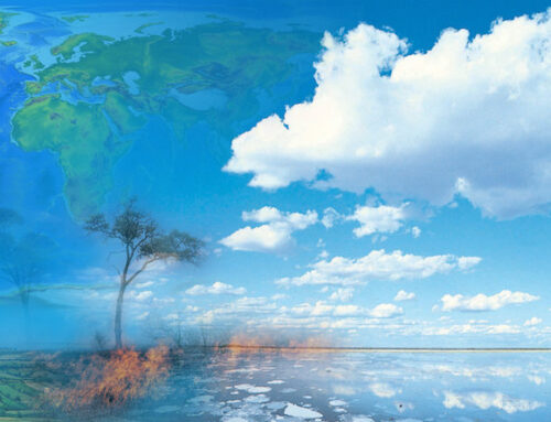 Diritto internazionale sulle sfide ambientali