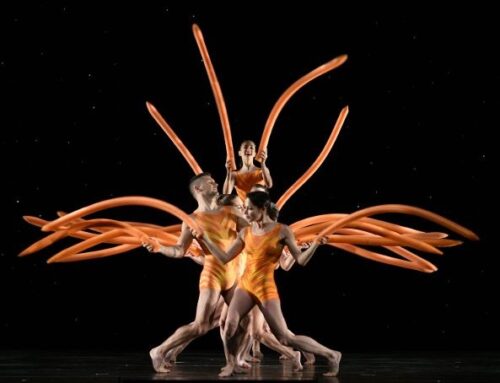 “Back to Momix”, se la danza unisce arte, effetti e acrobazie