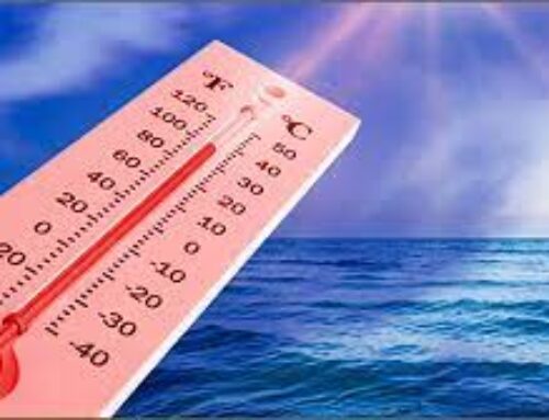 Temperatura oceano: record nel 2023