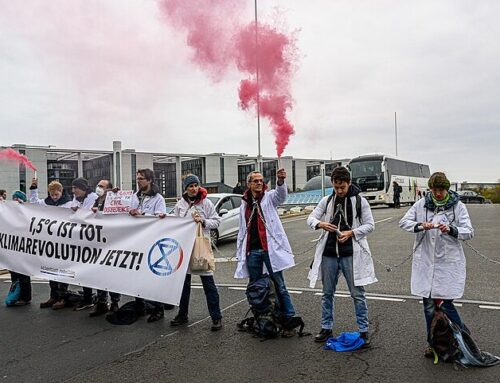 “La casa sta bruciando”: l’urlo degli scienziati