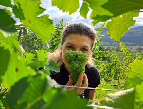 La cultura del vino coniugata al femminile
